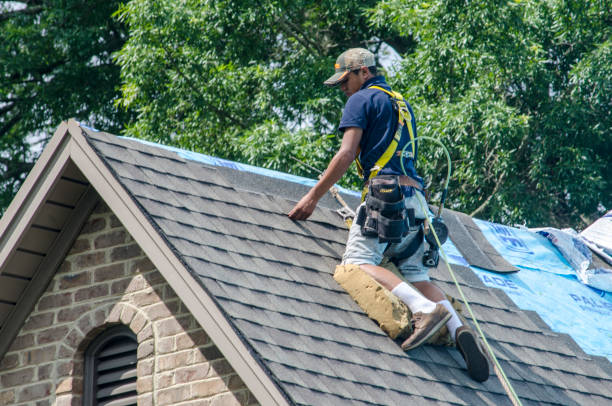 Best Gutter Installation and Roofing  in Linton Hall, VA